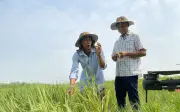 Chương trình Nông thôn mới đạt kết quả ấn tượng, chuẩn bị giai đoạn mới 2026-2030
