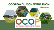Chương trình OCOP và du lịch nông thôn tạo động lực phát triển bền vững