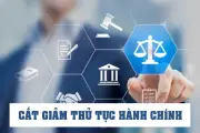 Chính phủ chỉ đạo quyết liệt cắt giảm thủ tục hành chính, 3 Bộ dẫn đầu đạt chỉ tiêu