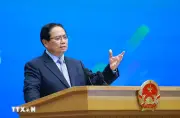 Chính phủ họp phiên thường kỳ tháng 3 và hội nghị trực tuyến với địa phương
