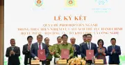 Cải Cách Thủ Tục Hành Chính: Bước Đột Phá Từ Chính Phủ Điện Tử Sang Chính Phủ Số
