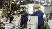 Cần điều chỉnh thuế xuất khẩu phân bón linh hoạt theo cung-cầu