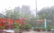 Cơn Mưa Lớn Giải Hạn, Giảm Nóng Ở An Giang Giữa Mùa Khô