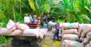 Cần Thơ họp khẩn tháo gỡ khó khăn cho doanh nghiệp lúa gạo giữa cơn bão giá