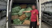 Công an Cao Bằng kiểm tra 2 ô tô, tạm giữ 5 tấn hàng hóa nghi vấn