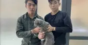 Công an TP.HCM triệt phá nhiều vụ trộm chó mèo, đảm bảo an ninh trật tự