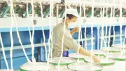 Công Nghệ Số Và AI: Đòn Bẩy Cho Nền Kinh Tế Xanh Tại Việt Nam