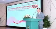 Công ty tài chính: Kênh tối ưu hóa vốn nhàn rỗi cho doanh nghiệp