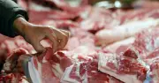 Cảnh báo: 4 loại thịt lợn nguy hiểm cần tránh khi đi chợ