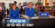 Cảnh báo chiêu trò lừa đảo mua đất rừng của cựu trưởng công an Phú Quốc