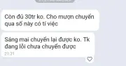 Cảnh báo: Hack Zalo cán bộ Cà Mau nhắn tin mượn tiền, công an khẩn trương điều tra
