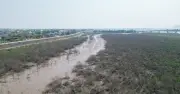 Cảnh tượng bất thường ven biển Hà Tĩnh: Nước biển đổi màu, nguyên nhân chưa rõ