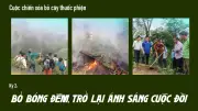 Cuộc chiến xóa bỏ cây thuốc phiện ở vùng cao Tây Bắc: Hành trình thay đổi tư duy và tập quán