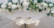 Cuộc đời chấn động phía sau đám cưới rình rang khiến cô dâu chết lặng