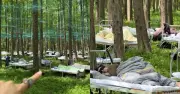 Cuộc thi ngủ trong rừng tại Thượng Hải gây sốt mạng xã hội