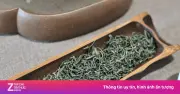 Cuốn Sách Khám Phá Toàn Diện Về Trà: Hành Trình Vạn Lý Của Lá Trà