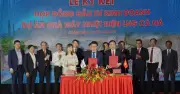 Dự án Nhà máy nhiệt điện LNG Cà Ná: Bước tiến quan trọng cho an ninh năng lượng quốc gia