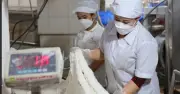Doanh nghiệp bún truyền thống kêu cứu vì mức phạt 552 triệu đồng 'như lệnh khai tử'