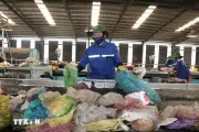 Doanh nghiệp phải thực hiện trách nhiệm tái chế sản phẩm, bao bì theo quy định mới