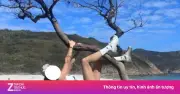 Du khách Hong Kong gây tranh cãi vì trào lưu ôm cây, vắt vẻo chụp ảnh