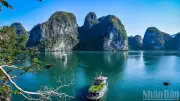 Du lịch Việt Nam xây dựng kịch bản tăng trưởng 2026: Cơ hội và thách thức từ bối cảnh quốc tế