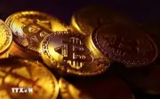 Giá Bitcoin Lao Dốc Khi Mỹ Cảnh Báo Leo Thang Xung Đột Quân Sự Trung Đông