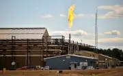 Giá dầu tăng mạnh do đàm phán Mỹ-Iran bế tắc, dầu đậu tương vọt đỉnh 3 năm