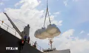 Giá gạo và cà phê tăng mạnh do xung đột tại Trung Đông
