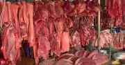 Giá heo hơi cả nước hồi phục, trở lại mốc 65.000 đồng/kg nhờ đà tăng từ miền Bắc
