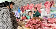 Giá heo hơi duy trì mức cao, sức mua chưa tăng mạnh trên cả nước