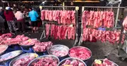 Giá heo hơi giảm nhẹ ở miền Bắc, tiêu thụ chậm do nắng nóng kéo dài