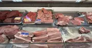 Giá Heo Hơi Ổn Định, Nhập Khẩu Thịt Giảm Bất Ngờ Trong Quý I