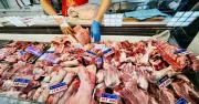 Giá heo hơi tăng nhẹ trên cả nước dịp lễ Giỗ Tổ Hùng Vương