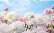 Giờ sinh âm lịch cầm vàng trong tay: Sinh ra đã có số hưởng lộc