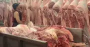 Giá thịt heo ổn định trước kỳ nghỉ lễ, tăng nhẹ tại một số địa phương