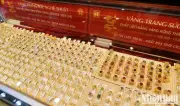 Giá vàng trong nước lao dốc trái ngược với xu hướng tăng mạnh trên thị trường quốc tế