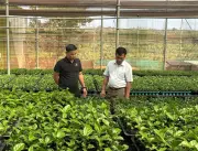 Gia Lai chuyển đổi hơn 5.000 ha sang trồng cây có giá trị cao