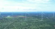Gia Lai thu hút hơn 4.900 tỉ đồng cho 4 dự án năng lượng tái tạo mới
