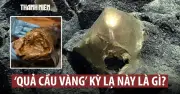 Giải mã bí ẩn 'trứng vàng' dưới đáy đại dương