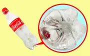 Giải mã khoa học đằng sau đáy chai nước ngọt hình cánh hoa