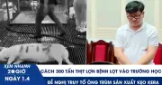 Hà Nội: 300 Tấn Thịt Lợn Bệnh Lọt Kiểm Dịch Vào Trường Học, Cán Bộ Thú Y Tiếp Tay