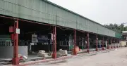 Hà Nội triệt phá đường dây lợn bệnh 300 tấn, thịt tuồn vào trường học và chợ