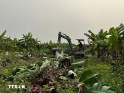 Hà Nội đẩy nhanh tiến độ giải phóng mặt bằng phục vụ dự án cầu Tứ Liên