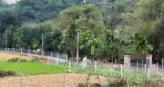 Hà Nội yêu cầu nộp hồ sơ chuyển đất vườn, ao sang đất ở trước 1/1/2027