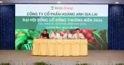 HAGL Đặt Mục Tiêu Doanh Thu 8.624 Tỷ, Lợi Nhuận 4.202 Tỷ Đồng Năm 2026
