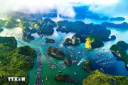Hải Phòng liên kết hình thành chuỗi sản phẩm du lịch chất lượng cao