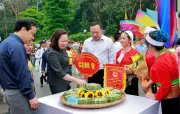 Hội thi gói bánh chưng, giã bánh dày tại Phú Thọ thu hút 38 đội thi