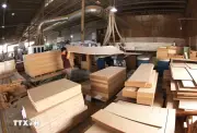 Hiệp hội Doanh nghiệp Việt Nam - Hy Lạp thúc đẩy hợp tác trong lĩnh vực gỗ