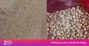 Hiệu Trưởng Mầm Non Đội Cấn Bị Đình Chỉ Vì Lạc Mốc Và Nghi Vấn Gian Lận Thực Phẩm