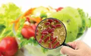 Hơn 40 học sinh Cà Mau nghi ngộ độc thực phẩm sau bữa ăn miễn phí